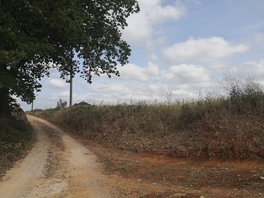 Da Tuglie in bici – Lido Conchiglie Santa Caterina