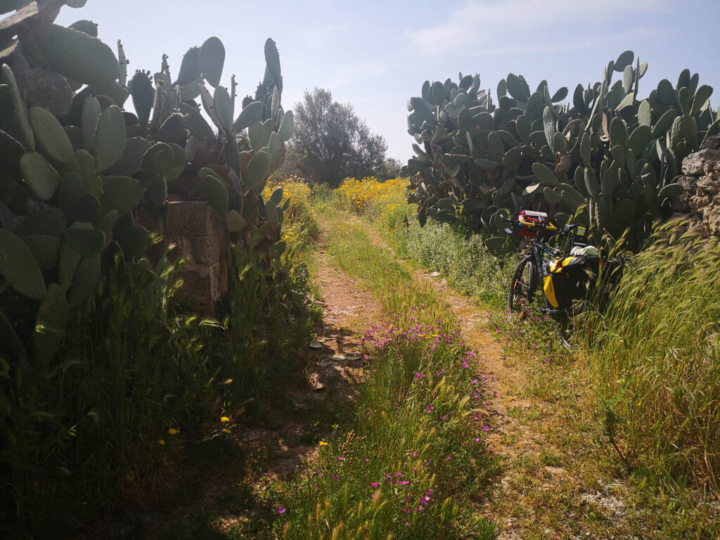 Stradina di campagna gravel vicino Racale