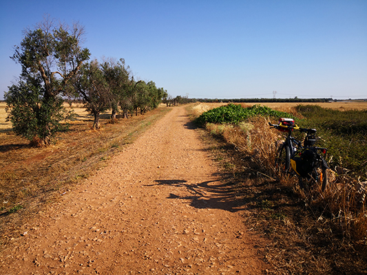 Tra campi coltivati e strade sterrate in bicicletta