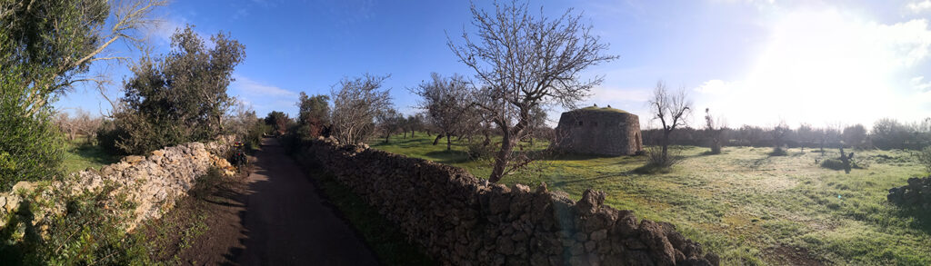 Panoramica via francigena nei pressi di S.M. di Cerrate