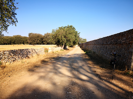 I muri di cinta di una masseria fortificata nel salento