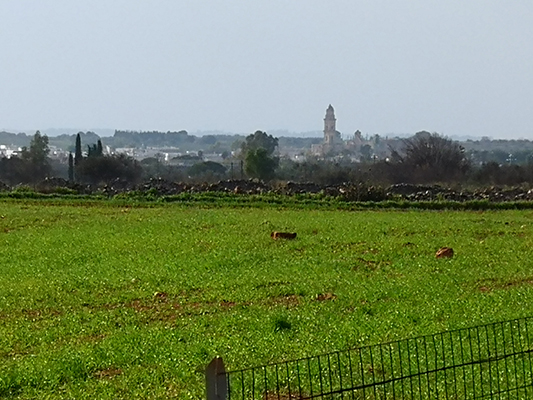 Dall'adiacente promontorio vista su Sternatia