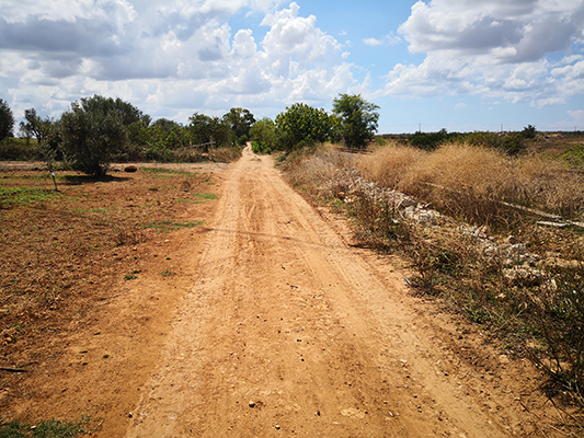 Strada gravel d'Arneo