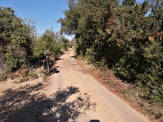 Stradine ideali per andare in bici nel Salento