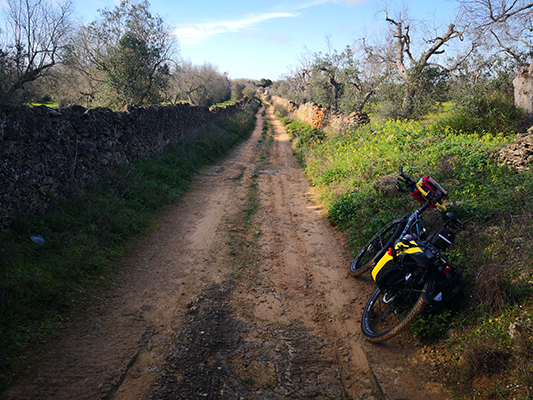 Via sterrata percorsa in bicicletta