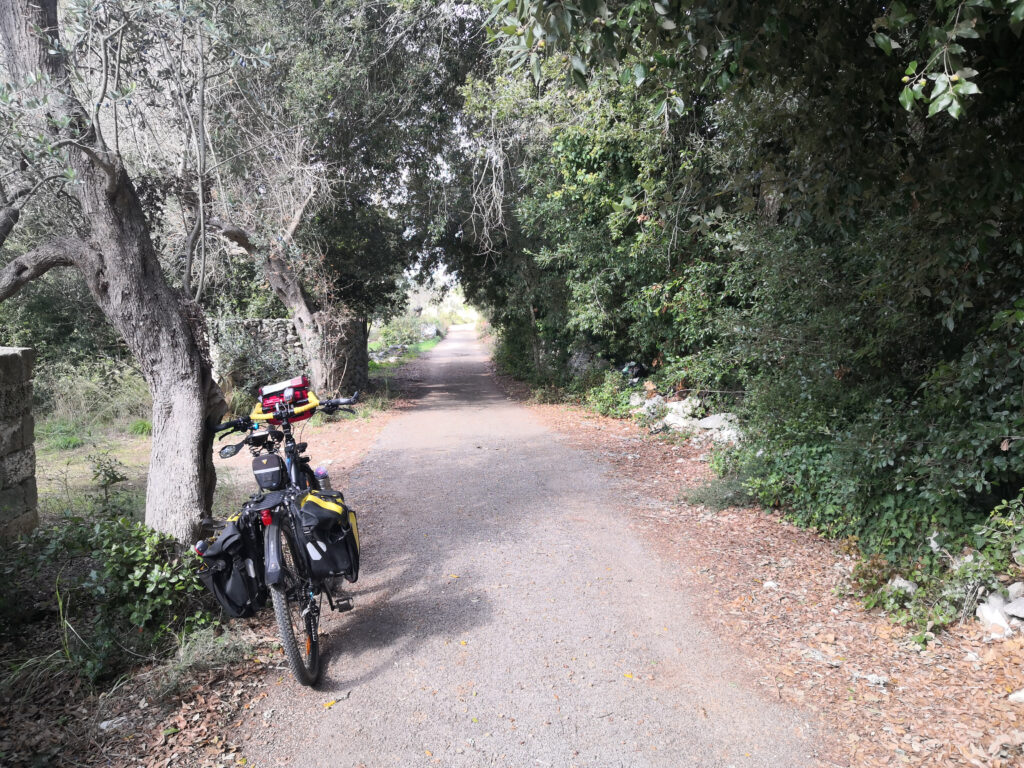 Accompagnati da macchia mediterranea in bici nel Salento