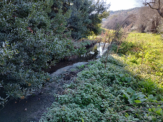 Corso di acqua piovana nei pressi di Castrignano del Capo