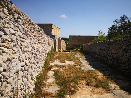 I muri in pietra e l'antica carrettiera