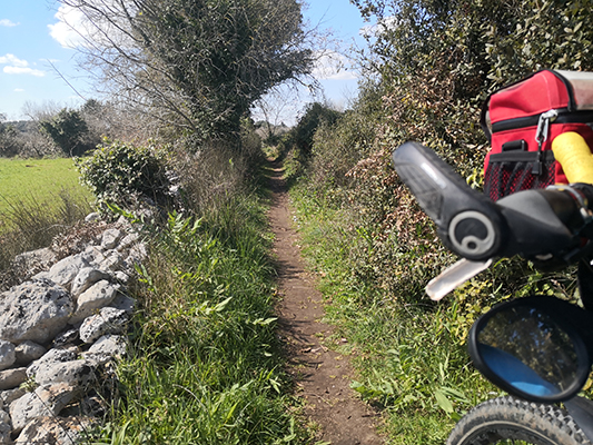 Il sentiero stretto in bicicletta