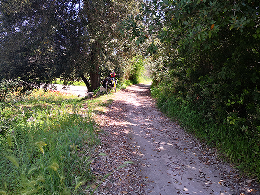Sentiero tra macchia mediterranea e bicicletta