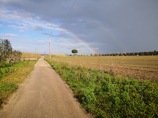 L'arcobaleno all'orizzonte