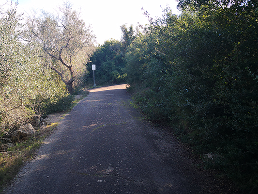 Stradina tra macchia mediterranea