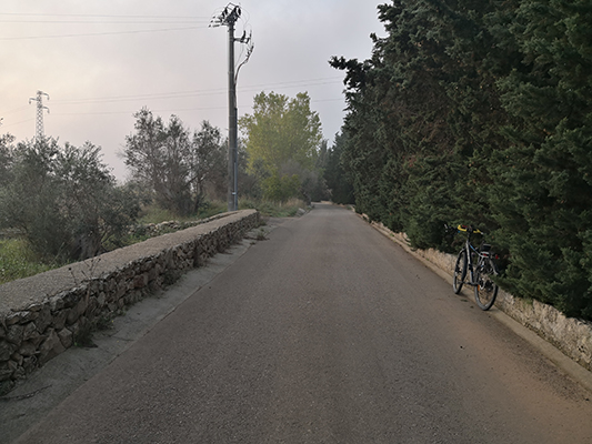 Strada secondaria alberata con bicicletta