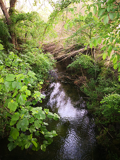 Il canale d'acqua