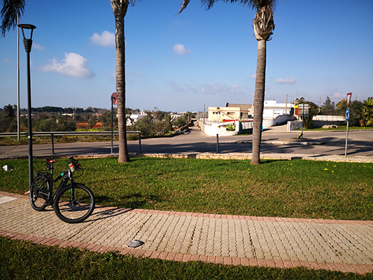 Bicicletta sulla rotatoria con palme