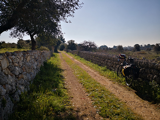 I tratturi e la bicicletta