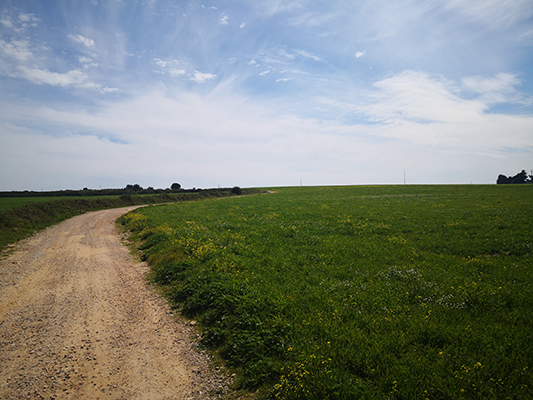 Le strade bianche di Otranto