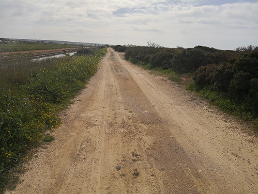 Paralleli alle spiagge più bianche del Salento