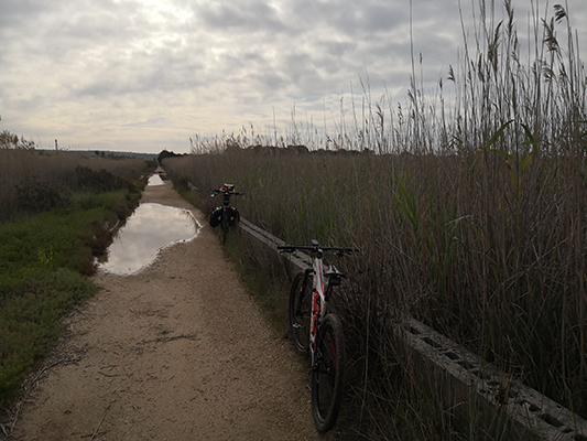 Pedalare lungo la costa ionica del Salento