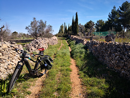 Il sentiero e la bicicletta tra muri in pietra a Sannicola