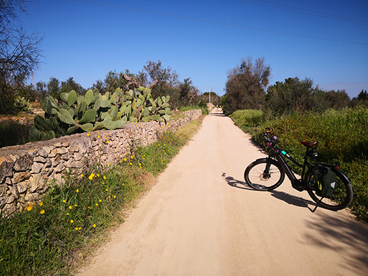 La strada bianca e la bicicletta a Sannicola