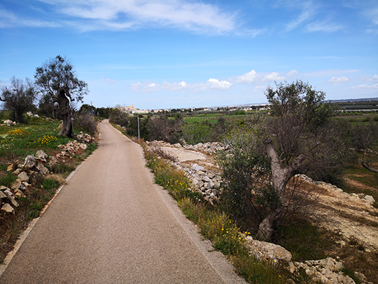 Le ciclabili naturali del Salento