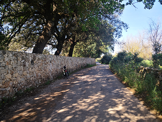 All'ombra della strada secondaria verso Gallipoli con muretto e bicicletta