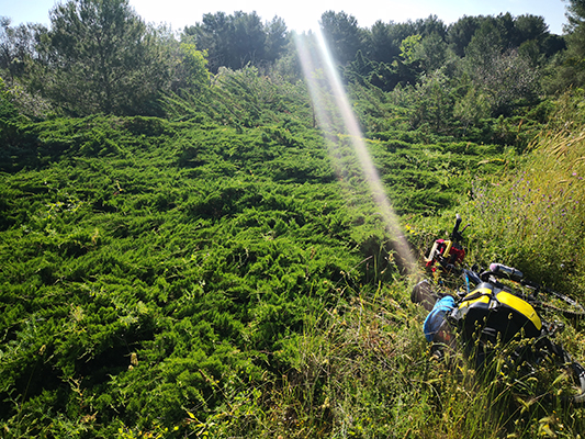 La bicicletta nel verde del Salento