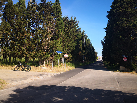 Viale alberato incrocio e bicicletta ad Alezio