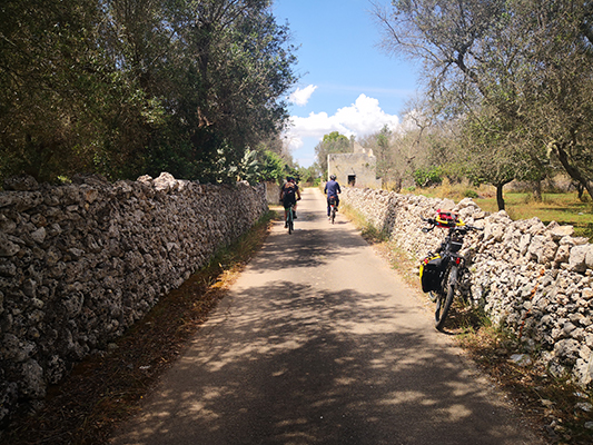 Tre amici in bicicletta