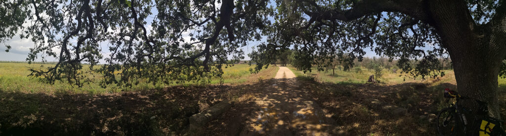 Lungo la strada verso ovest del parco dei Paduli