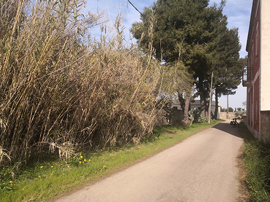 In contrada Capani tra ville storiche