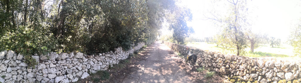 Il bosco La Mandra di Calimera lungo il percorso