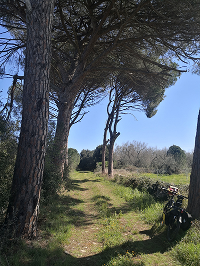 Lungo il percorso subito dopo il dolmen Placa