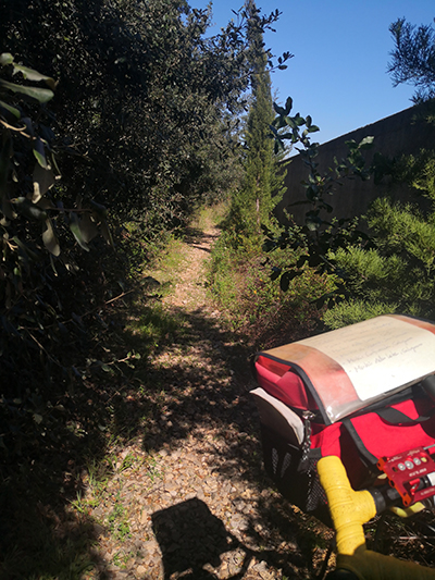 La via francigena stretta e pietrosa