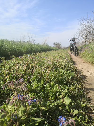 Si respira aria di primavera in contrada Capani