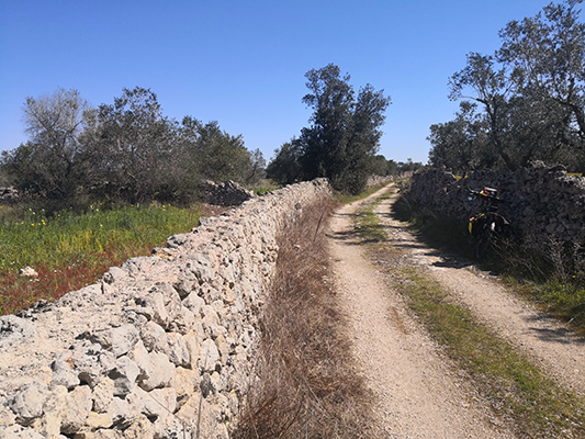 Nei pressi della masseria San Biagio non lontano da Calimera