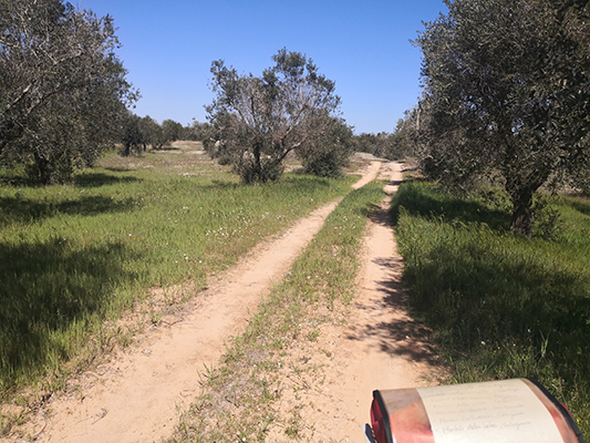 Sulla via francigena in direzione Melendugno